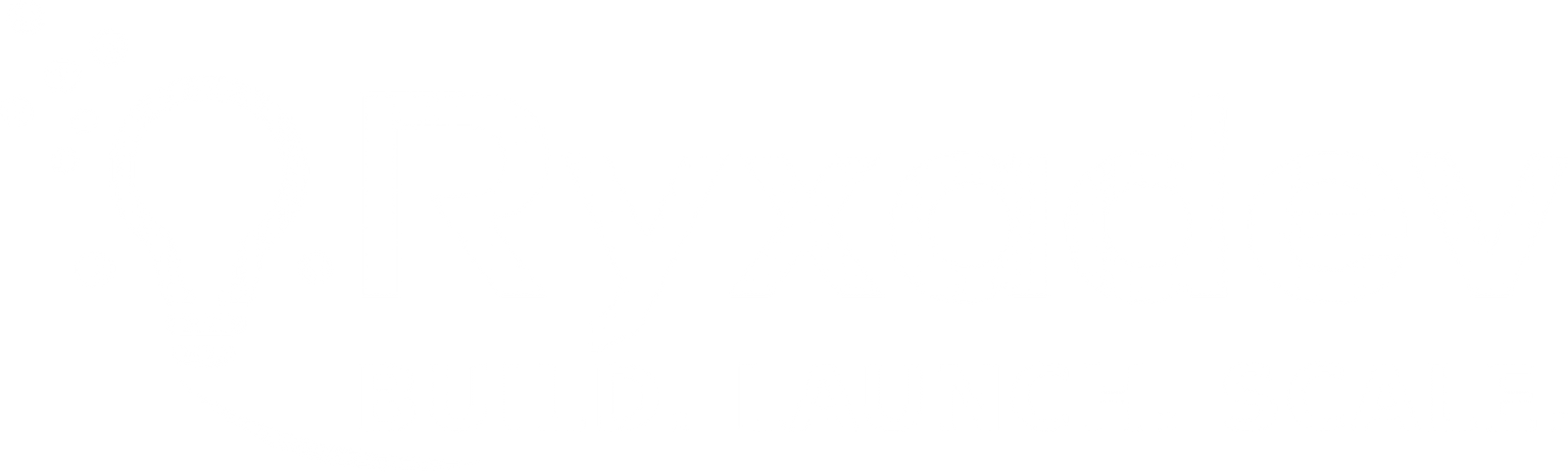 RyxaDev | Web Development Company for Modern Businesses